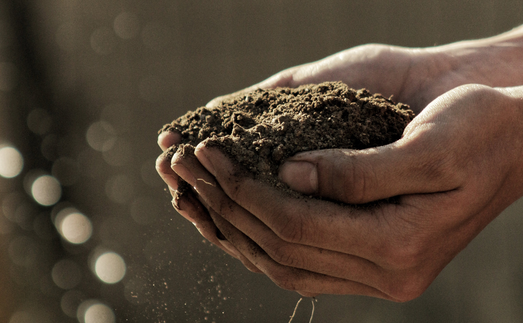 Soil Testing New Zealand