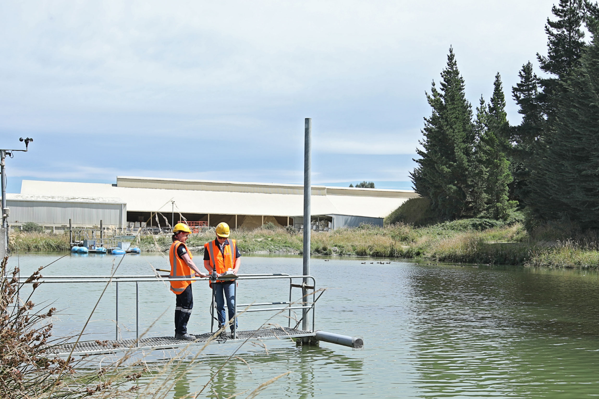 Wetland Restoration v3